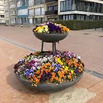 Michry 4 Adultes 2 Enfants Proche Digue Et Centre * Koksijde