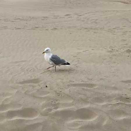 Villa Michry 4 Adultes 2 Enfants Proche Digue Et Centre *