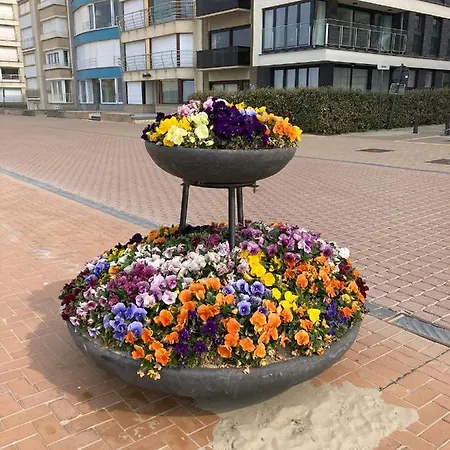 Michry 4 Adultes 2 Enfants Proche Digue Et Centre * Koksijde