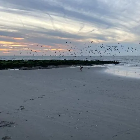 Michry 4 Adultes 2 Enfants Proche Digue Et Centre Villa Koksijde
