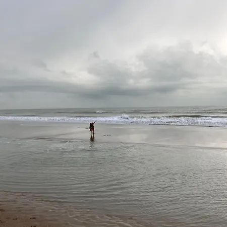 Michry 4 Adultes 2 Enfants Proche Digue Et Centre Koksijde